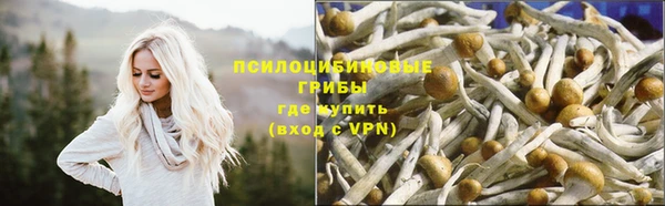 мяу мяу мука Абдулино