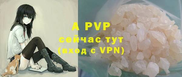 дживик Абаза