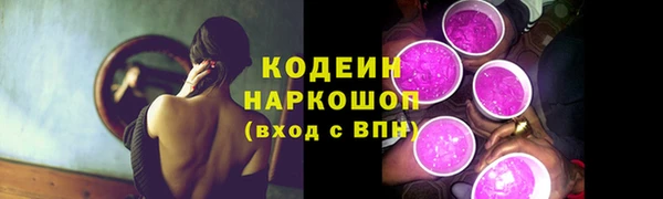 индика Нея